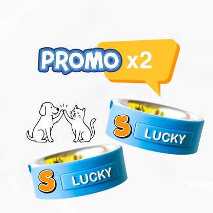 Set Duo TAGLIA S — 2 Ciotole Kiki Personalizzate