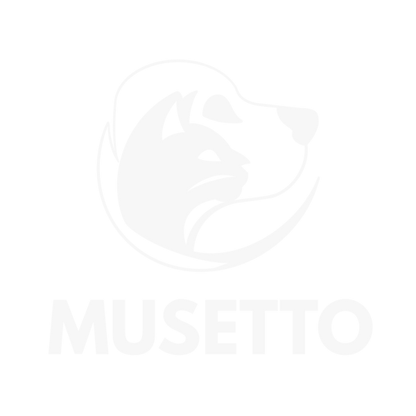 Logo Musetto Store