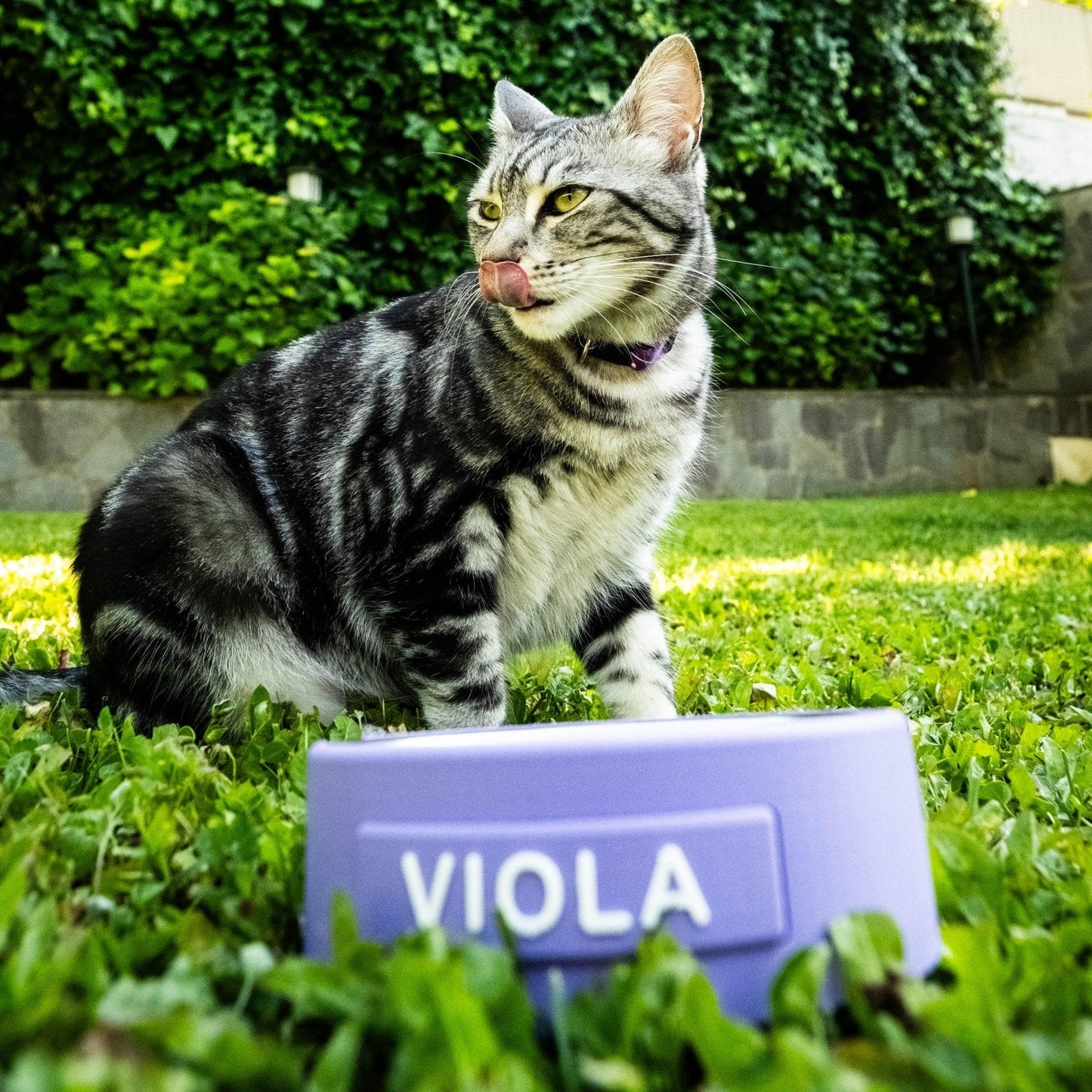 CIOTOLA KIKI PERSONALIZZATA